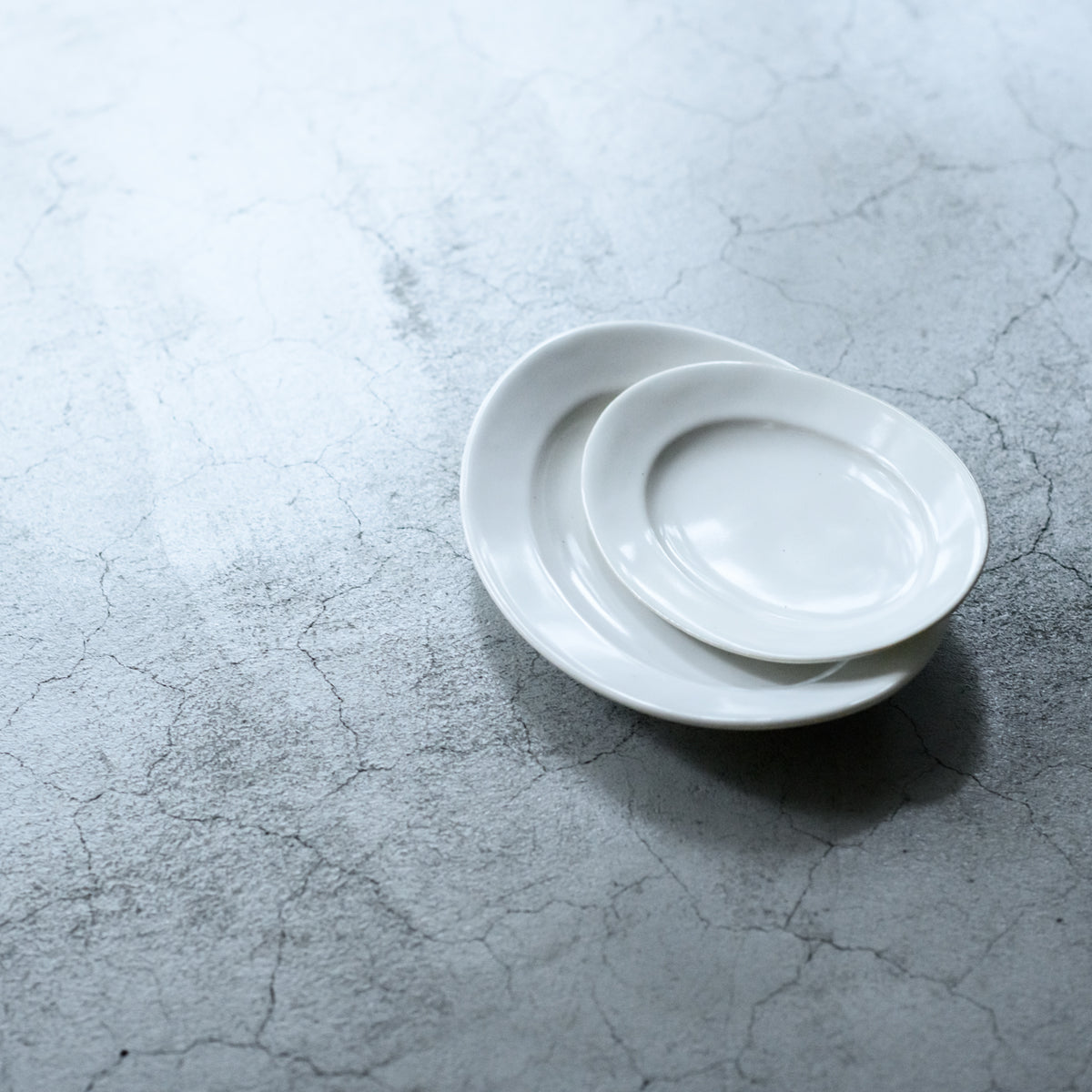 awabi ware｜オーバル皿