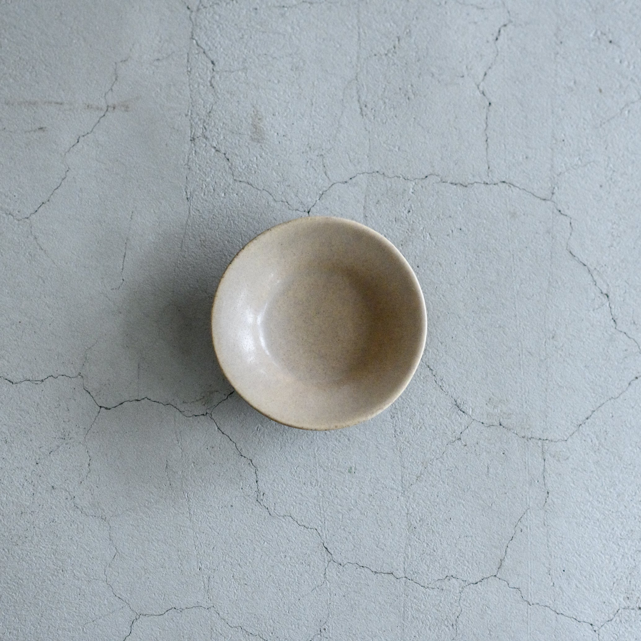 awabi ware｜丸豆皿